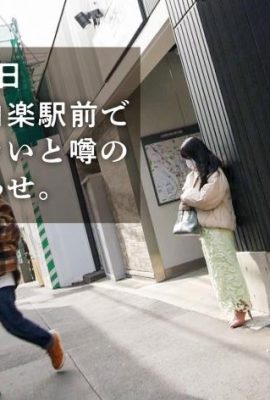 सप्ताहांत उदासी छोटा घोड़ा बड़े स्तन वाली पत्नी ओगावा योको (21p)