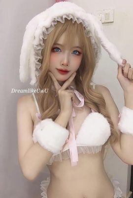 ड्रीमलाइकयूडब्ल्यूयू – सफेद खरगोश (59पी)