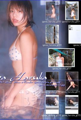 इकावा हारुका (फोटो एलबम) (मासिक シリーズ022) – मासिक 022 (55p)