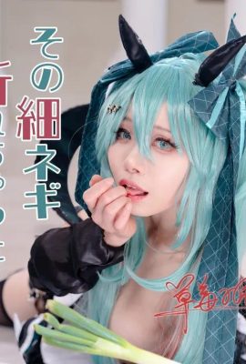 Hatsune Miku: क्या वह पतला हरा प्याज टूट गया?