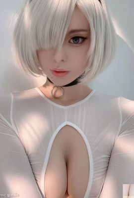 विननेगल -2 बी व्हाइट (46 पी)