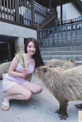 बने ब्यूटीफुल (Marienn_yang “वेबसाइट परियों को पृथ्वी पर उतरने वाली परी (25p)