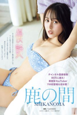 (हिरण का दिन) ग्रेसफुल एस वक्र सभी की तर्कसंगत रेखा (16p) को चुनौती देता है