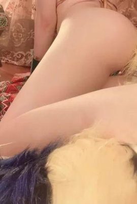 कीजी लम्प विल-डस्टी (56 पी)