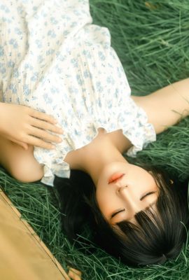 एनीमे – बेवकूफ मोमो- लकड़ी के बक्से (18 पी)