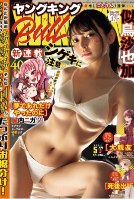 (यह एक पक्षी रेत की तरह है) सुंदर परी प्रशंसकों के दिलों को छेड़खानी करती है (16 पी)