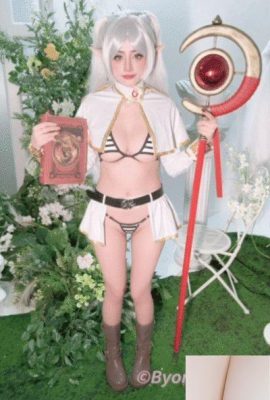 बोरू-फ्रीजेन (43 पी)