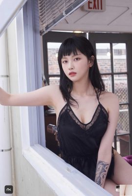 जीएमएस -003 ए जीएमएस (44 पी)