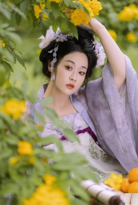 देर से शरद ऋतु के फूल देवता ने खुबानी दी (29 पी)