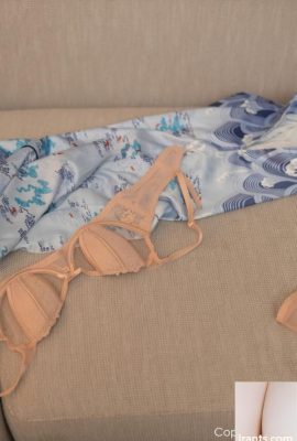 (XiuRen) HD फोटो 2022.02.07 No.4552 तांग ANQI 65P)