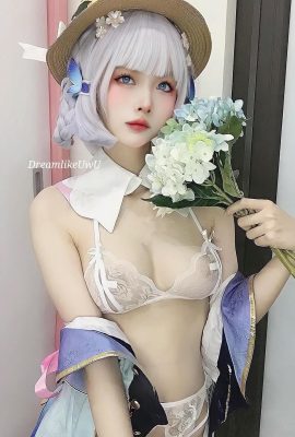 (इंटरनेट कलेक्शन) ड्रीमलाइवु अयाका कामिसतो – गेनशिन इम्पैक्ट (22 पी)