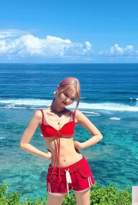 “चेस्टनट” पैमाने और सामने और पीछे के उभार के माध्यम से टूट जाता है, जो स्पष्ट रूप से लुभावना है (10p)