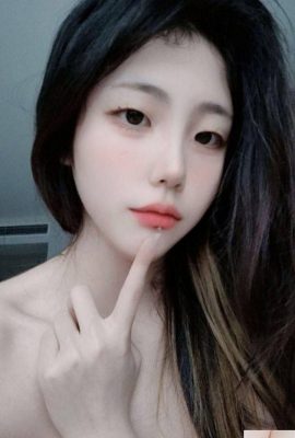 शुद्ध कॉलेज के छात्रों को लाओ (12पी)