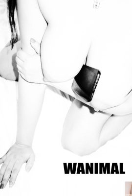 (वांग डोंग का काम) वांग डोंग) वानिमल टम्बलर फोटो संग्रह (105) (50पी)